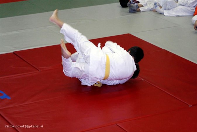 dec-judo-b-025.jpg