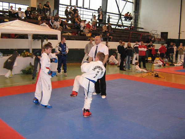 apr-taekwondo-b-010.jpg