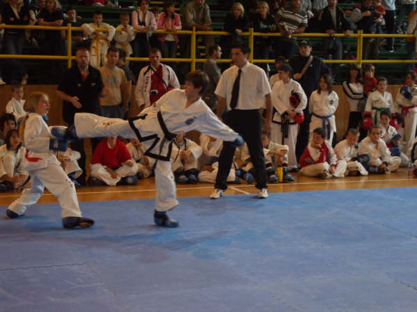 jun-taekwondo-a-009.jpg